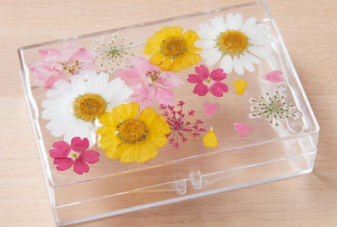 f45d488ea950e37deeb2e762a1b500