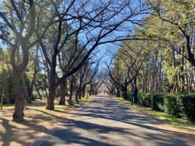 辰巳の森海浜公園